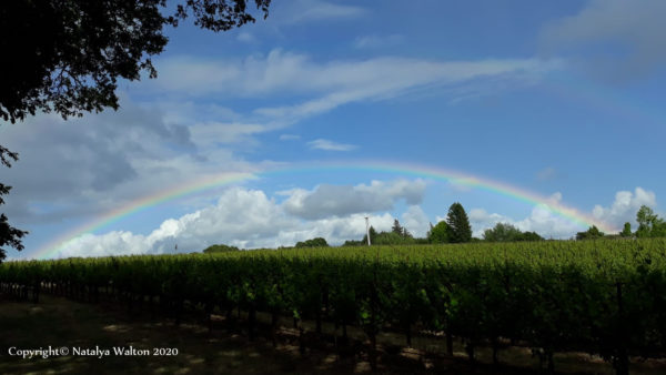 Rainbows and Wineries